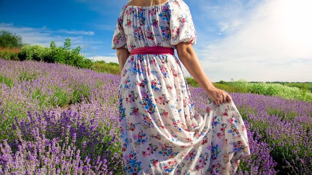 Rear view closeup photo of young woman in long dress walking at lavender field - Zdjęcie, obraz