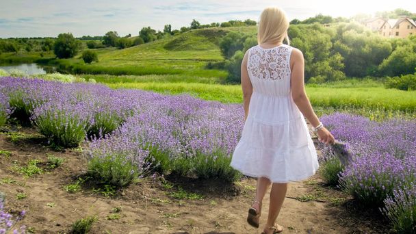 Młoda blond kobieta w białej sukni, chodzenie w lawendowym polu - Zdjęcie, obraz