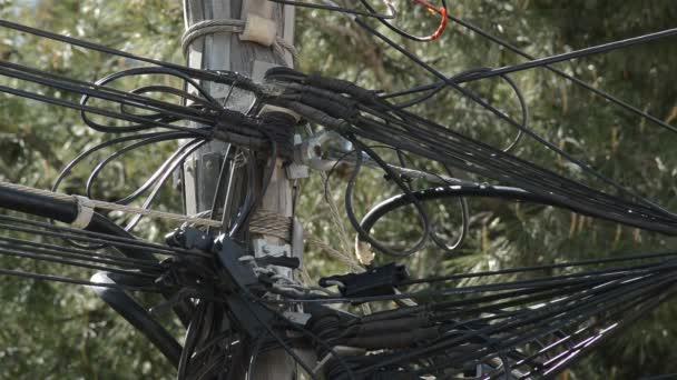 Kabely z elektrické energie a telefonie špatně instalované na dřevěné tyči - Záběry, video
