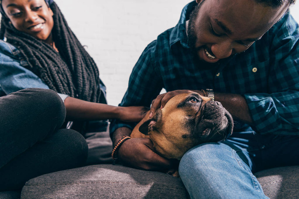 jeune couple afro-américain assis sur le canapé et touchant bulldog français
  - Photo, image