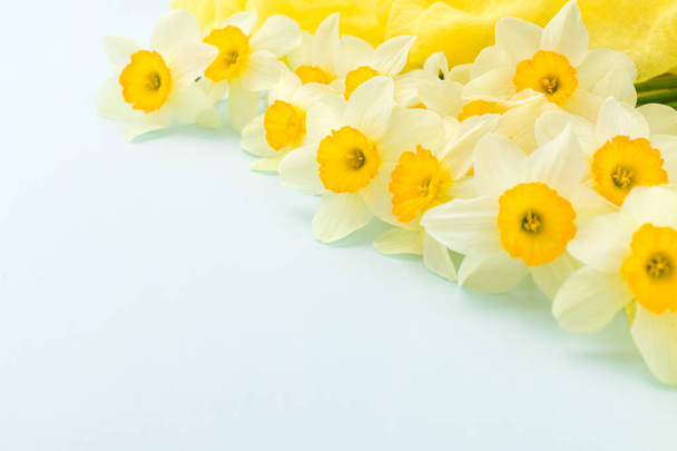 Daffodil spring flowers with yellow textile decoration on blue pastel background with copy space. - Photo, Image