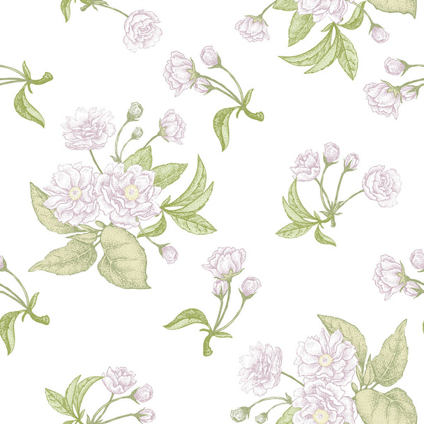 Floral seamless pattern with Chinese plum. - Vektori, kuva