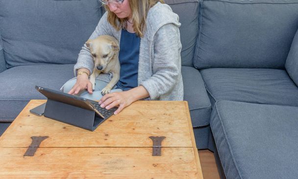 A middle aged woman at home using her laptop computer with her pet dog also looking at the screen - Photo, Image