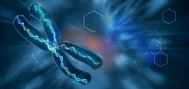 X chromosomes, illustration 3d
 - Photo, image