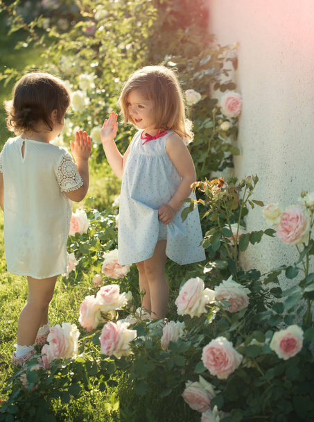 Two girls smiling at blossoming rose flowers. Children playing patty cake in summer garden on sunny day. Friends and friendship. Happy childhood concept. Germination and flourishing. - 写真・画像
