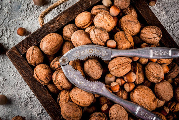 Erilaisia pähkinöitä valinta
 - Valokuva, kuva