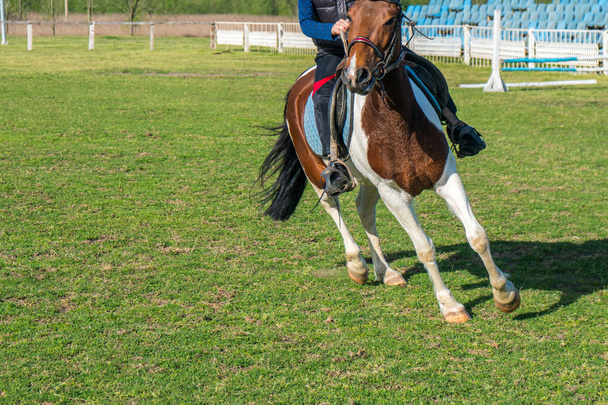 маленький гонщик тренує коня на зеленій траві бігової доріжки
 - Фото, зображення