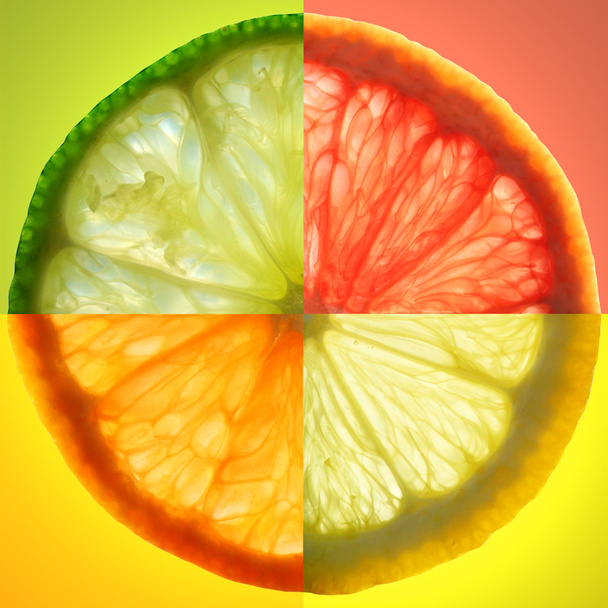 Kromka owoców cytrusowych - Zdjęcie, obraz