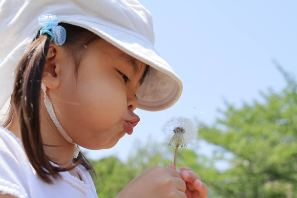 Японская девочка, раздувающая семена одуванчиков под голубым небом (3 года)
) - Фото, изображение