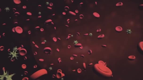 Vírus támadások vörös vérsejtek emberi vér hajó belsejébe. Animáció a vírus sejtek elpusztítása. 3D-s animáció orvosi - Felvétel, videó