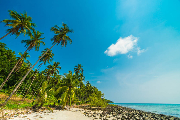 Kaunis luonto trooppinen ranta ja meri kookospalmulla o
 - Valokuva, kuva
