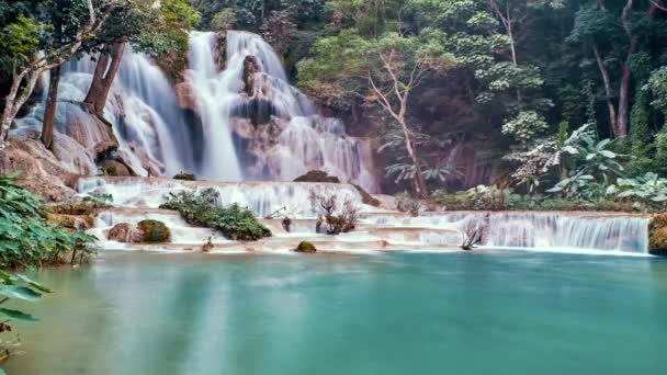 Fantasie mysteriösen Waldbach Zeitraffer. Zauberhafter schöner Wasserfall mit Fischteich im Herzen des grünen Zauberwaldes - Filmmaterial, Video