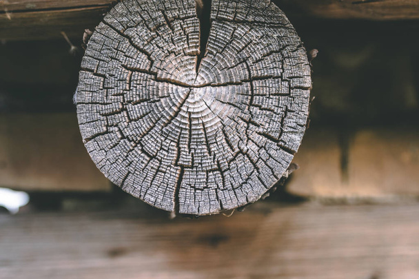 Cross-section of a weathered log or timber - Foto, Imagem