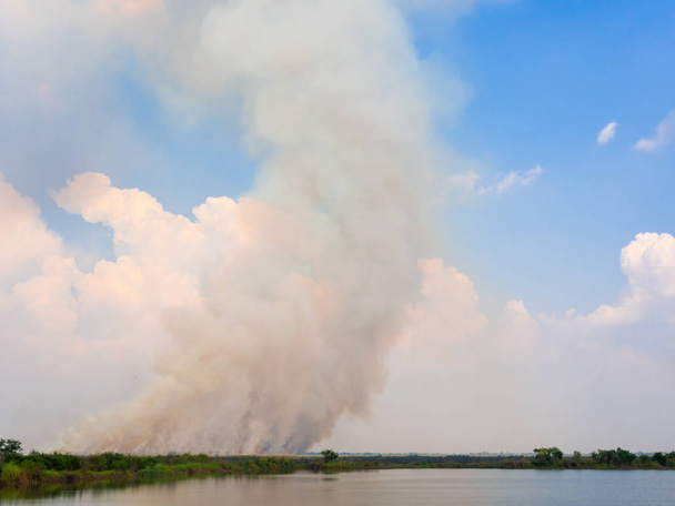 Pila de humo flotando en el aire con fuego ardiendo cerca del pantano
 - Foto, imagen