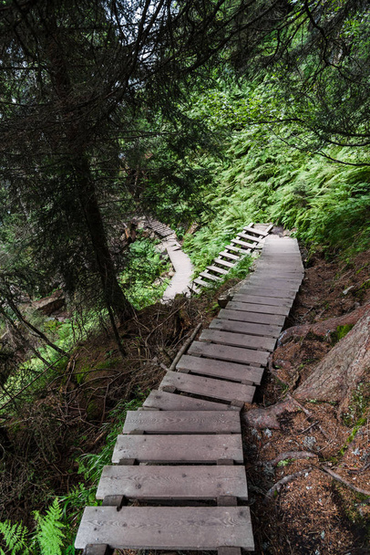 Дерев'яні сходи в Grawa водоспад - Фото, зображення