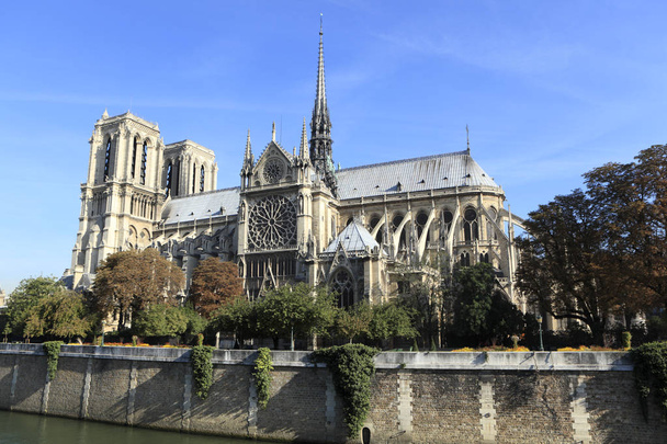 Notre Dame ve Seine Nehri - Fotoğraf, Görsel