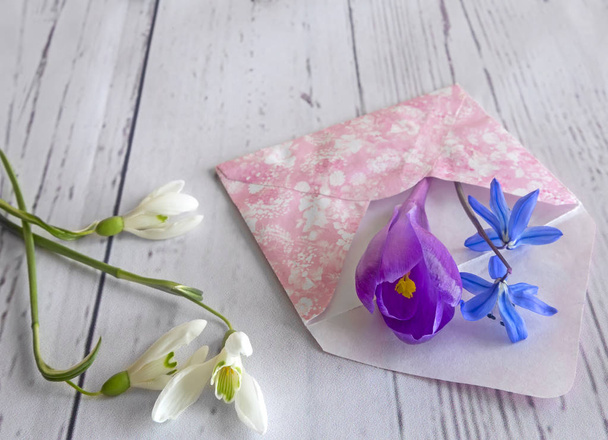 On a light background the first spring flowers: snowdrops, crocuses, violets and envelope. - Photo, Image