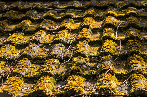 Moosbewachsenes Dach einer Hütte im Garten - Foto, Bild