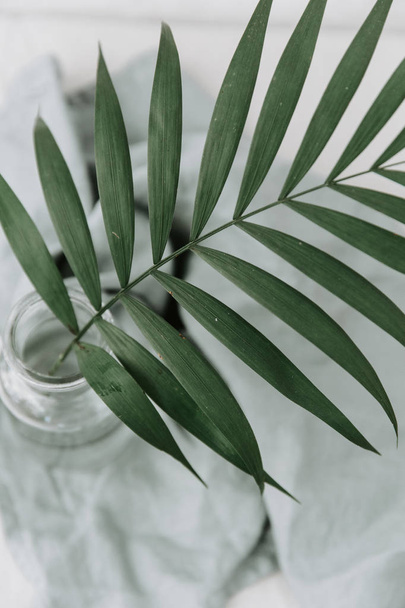  branch in glass bottle over linen tablecloth. minimalism - Zdjęcie, obraz