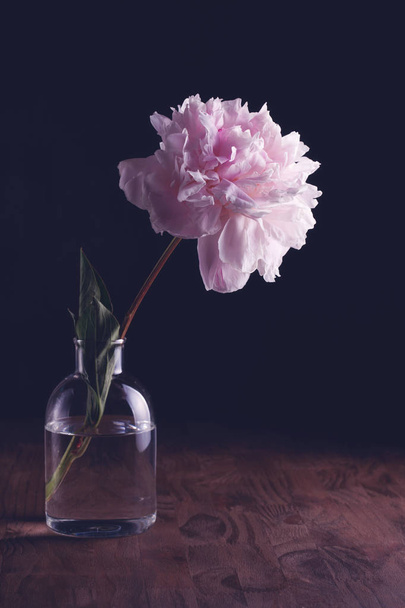 Vintage still life with beautiful peony - Foto, afbeelding