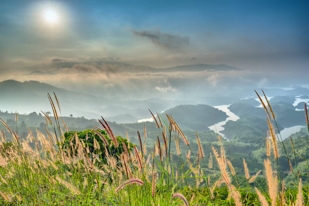 Пейзаж Ta Dung озера летом утром, когда солнце светит до озера, полного тумана, трава вытирать передний план красивая красота украшают идиллические красоты в горных районах Вьетнама
 - Фото, изображение