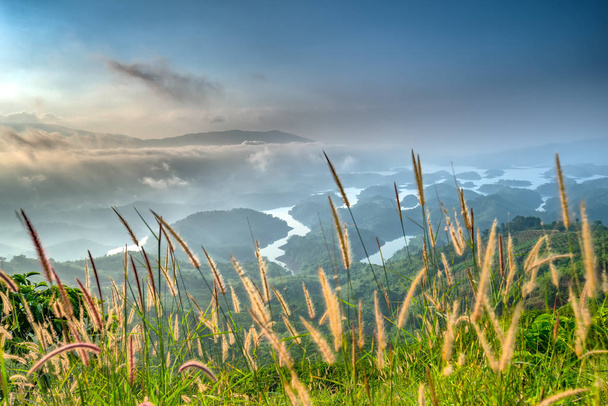 Paysage Lac Ta Dung dans la matinée d'été quand le soleil brille vers le lac plein de brume, l'herbe essuyer le premier plan belle beauté ornent la beauté idyllique dans les hauts plateaux du Vietnam
 - Photo, image