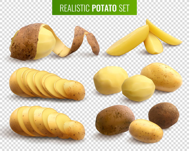 Σετ ρεαλιστική πατάτας  - Διάνυσμα, εικόνα