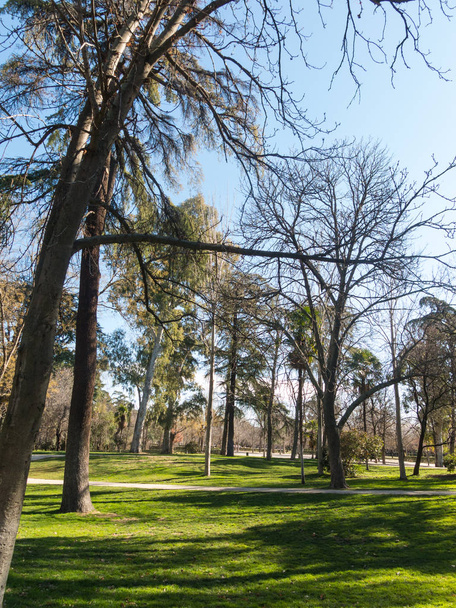 View of the Retiro Park in Madrid. The Buen Retiro Park is a his - Photo, Image