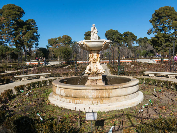 Madrid, hlavní město Španělska. Růžová zahrada (rosarium) do Retiro. Madrid, Španělsko. - Fotografie, Obrázek