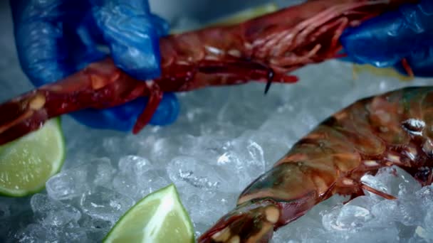 Fresh fish and seafood - Footage, Video