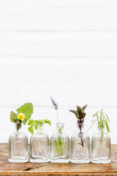 Bottle of essential oil with herbs lavender flower ,dandelion , parsley, tarragon and mint set up on white background - Foto, Imagem