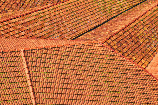 Porto bir kırmızı kiremitli çatıları üzerinde göster - Fotoğraf, Görsel