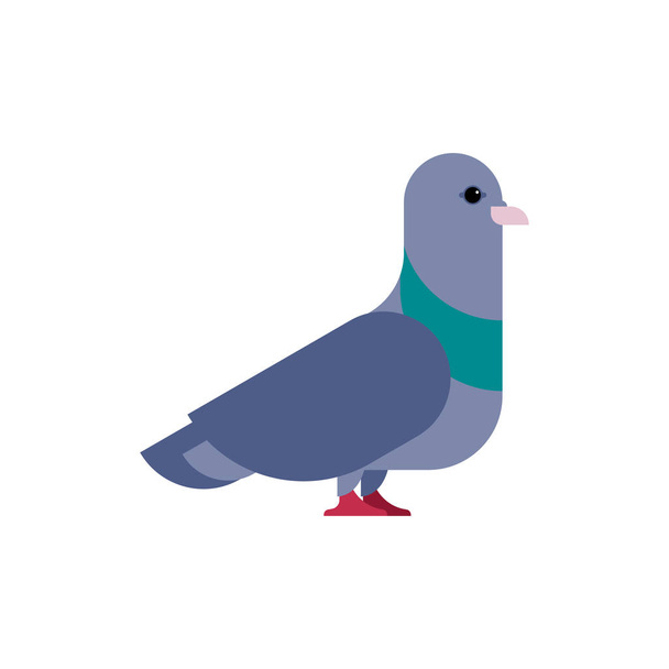 Pigeon isolé. Colombe sur fond blanc. Illustration vectorielle
 - Vecteur, image