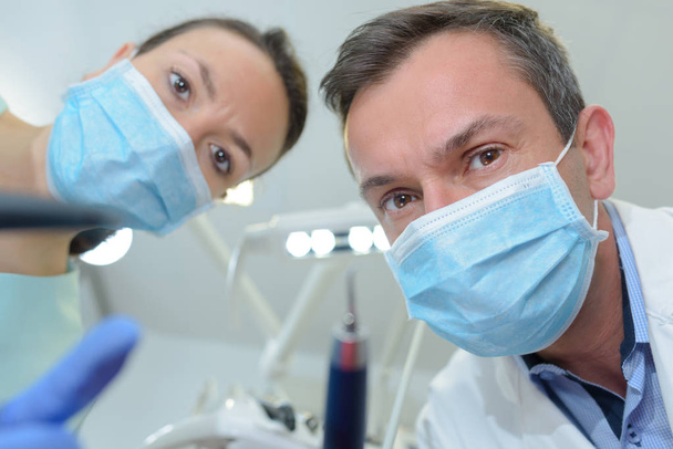 dentist and the assistant - 写真・画像