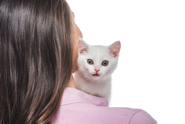 vue arrière de jeune femme avec chaton sur épaule isolé sur fond blanc
 - Photo, image