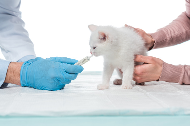 cropped image of veterinarian with syringe and woman holding kitten isolated on white background - Photo, Image