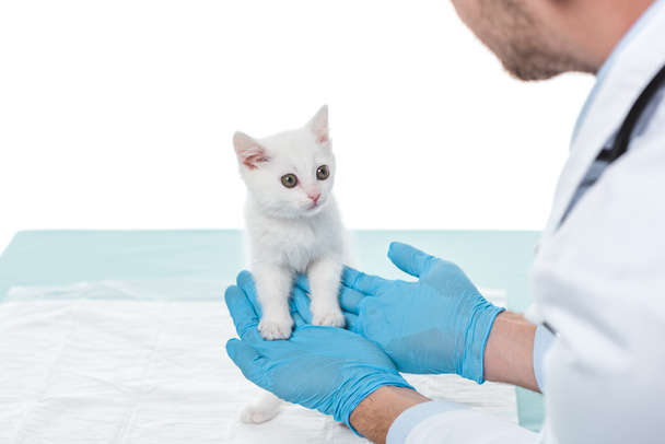 imagen recortada de veterinario en guantes que sostienen gatito aislado sobre fondo blanco
 - Foto, Imagen