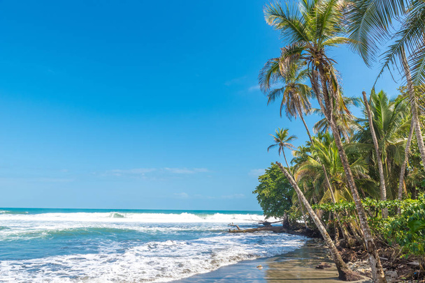 Playa Negra - black beach at Cahuita, Limon - Costa Rica - tropical and paradise beaches - Фото, изображение