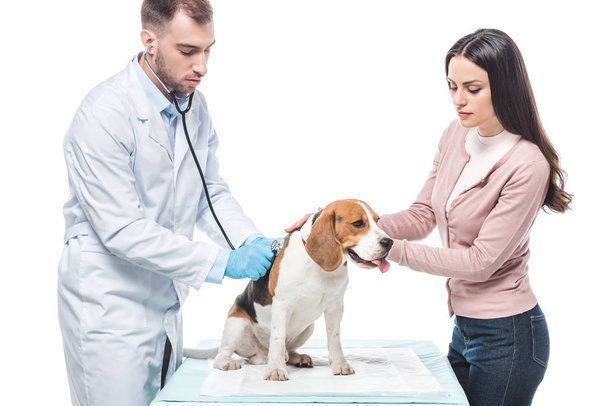 mujer joven con beagle y veterinario examinándolo por estetoscopio aislado sobre fondo blanco
 - Foto, Imagen