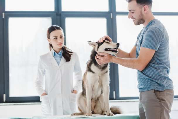 smiling young man with husky and female veterinarian in clinic  - Foto, immagini
