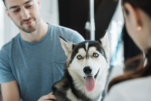 young man with husky and female veterinarian in clinic  - Photo, Image