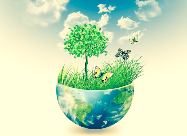 Ecological concept of the environment with the cultivation of trees . Planet Earth. Physical globe of the earth. Elements of this image furnished by NASA. 3D illustration - Photo, Image
