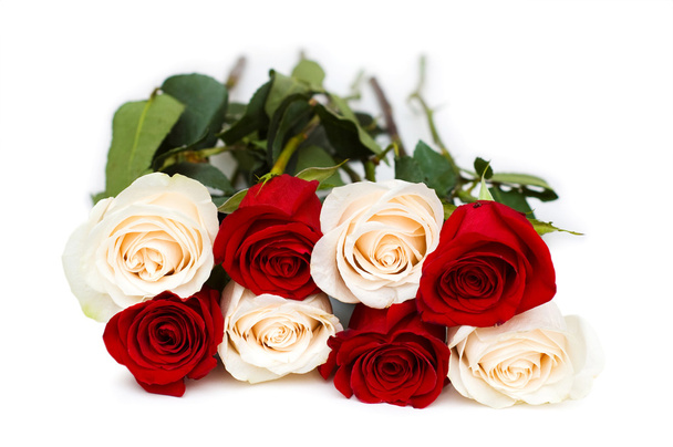 Red and white roses isolated - Photo, Image