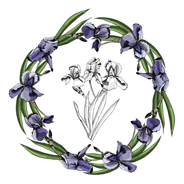 Hand drawn colored  sketch with wreath of iris flowers and  graphic bouquet isolated on white  background. - Vetor, Imagem