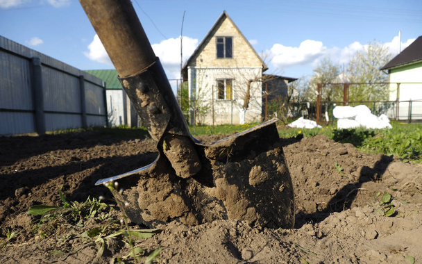 Jardinier creuser avec pelle de jardin
 - Photo, image