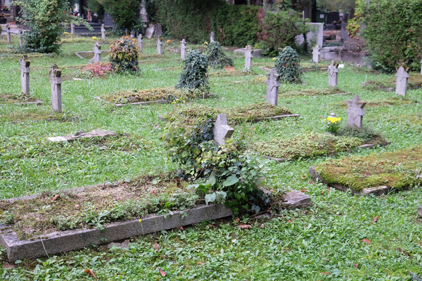Joodse sectie van de begraafplaats op de Mirogoj begraafplaats in Zagreb, Kroatië. - Foto, afbeelding