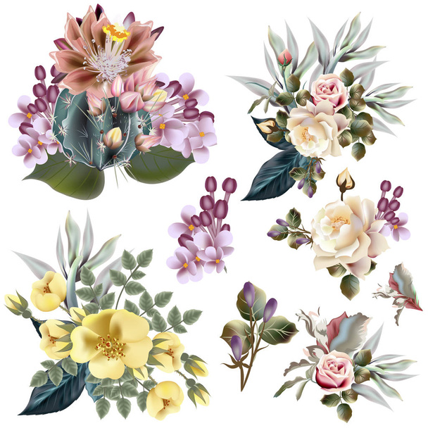 ベクトルの花、バラ、suculents のコレクション - ベクター画像