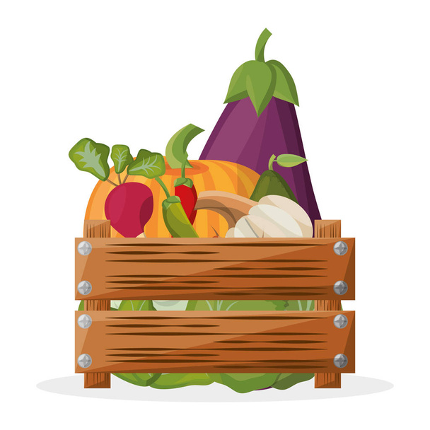 wooden box with vegetables vegetarian image - Vektor, obrázek