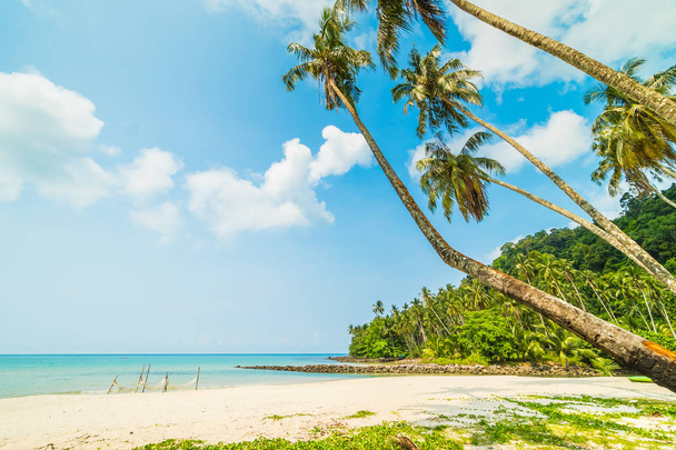 Tropisch strand en zee met coconut palm tree in Paradijseiland voor reizen en vakantie - Foto, afbeelding