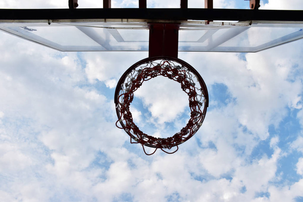 A kosárlabda karika van, a hangya szeme viwe. - Fotó, kép